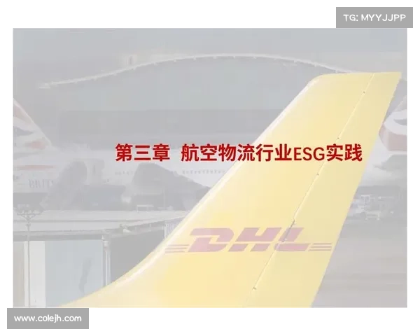 航空行业和电子商务平台面临各自的网络威胁 航空行业和电子商务平台面临各自的网络威胁